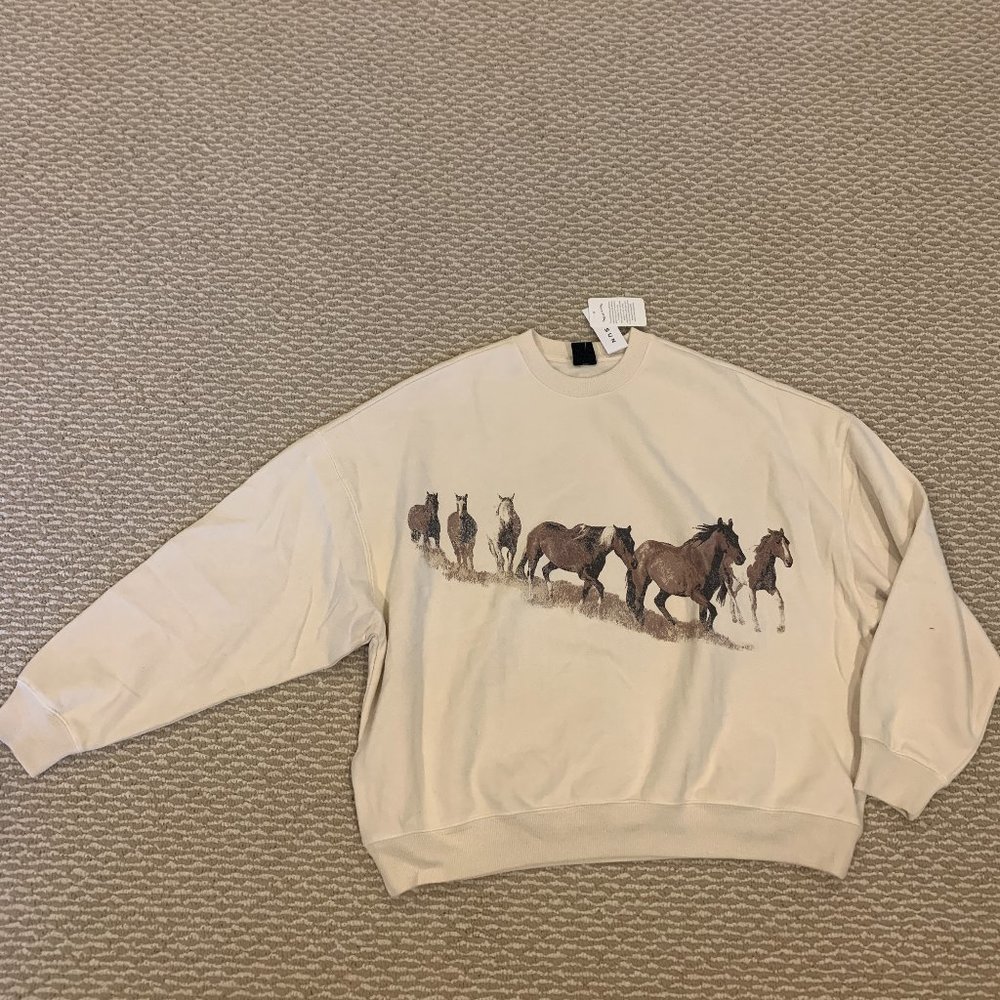 NWT Pacsun Wild Horses Ex-Boyfriend Sweatshirt